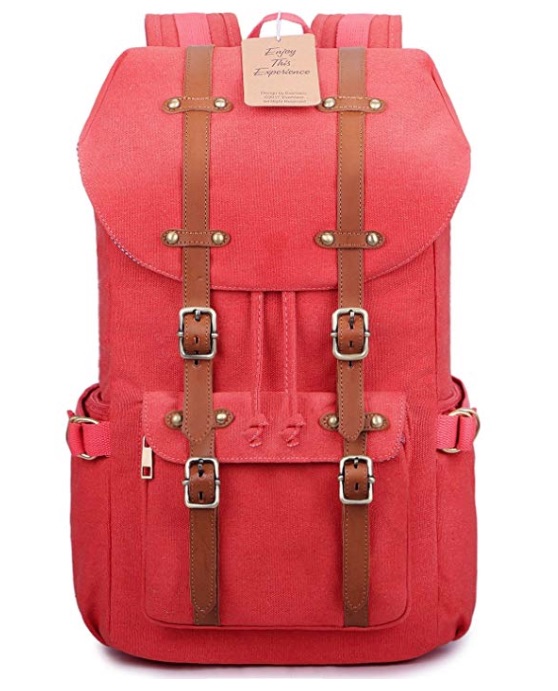 EverVanz Outdoor Canvas Leather Backpack, Fits 15 ” Laptop .. loving it