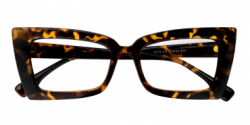 Newell Rectangle Tortoise Glasses